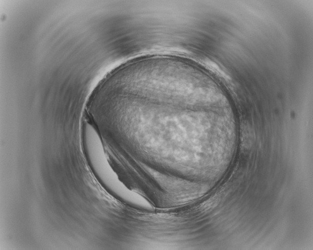 X0000087351280200705111611