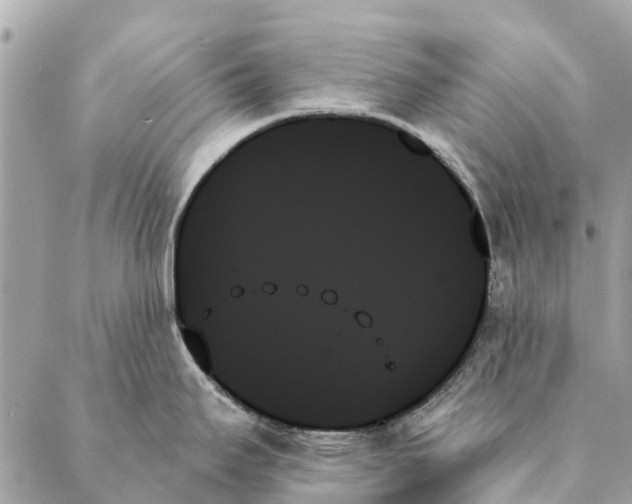X0000087351295200705111610