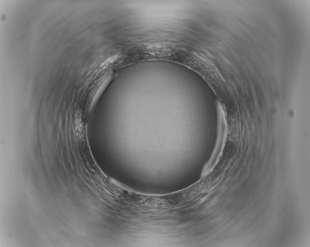 X0000087351298200705111610