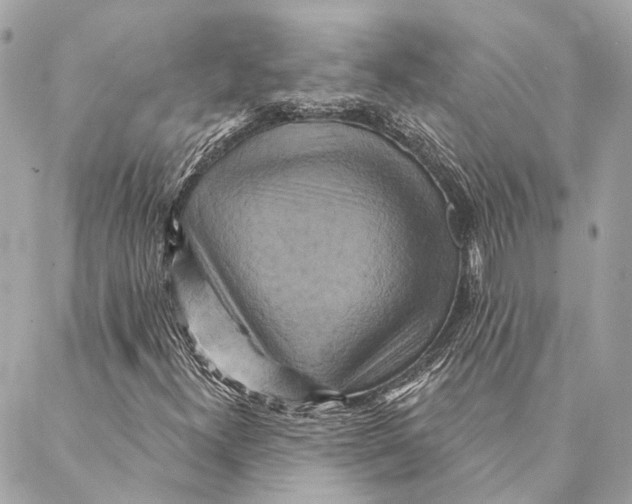 X0000087351300200705111610