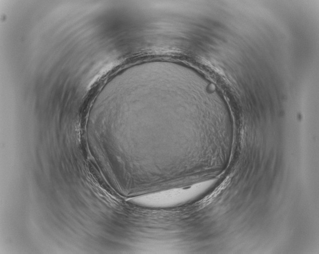 X0000087351306200705111610