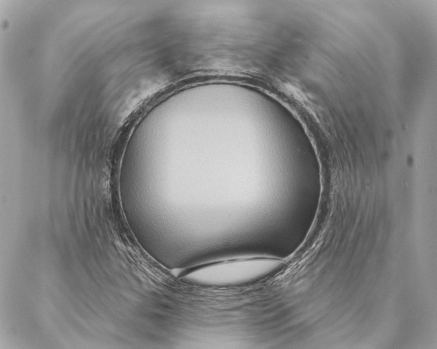 X0000087351307200705111610