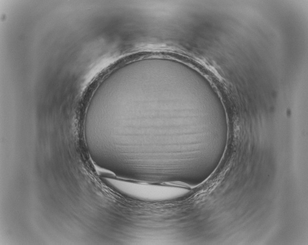 X0000087351311200705111610