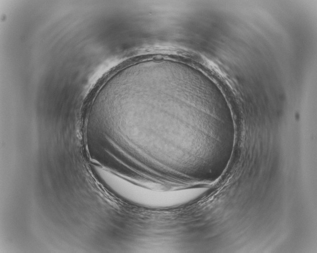 X0000087351312200705111610