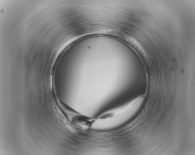 X0000087351324200705111610