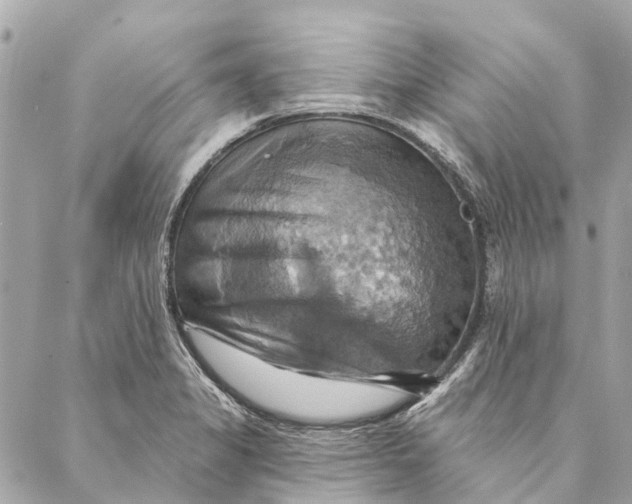 X0000087351325200705111610