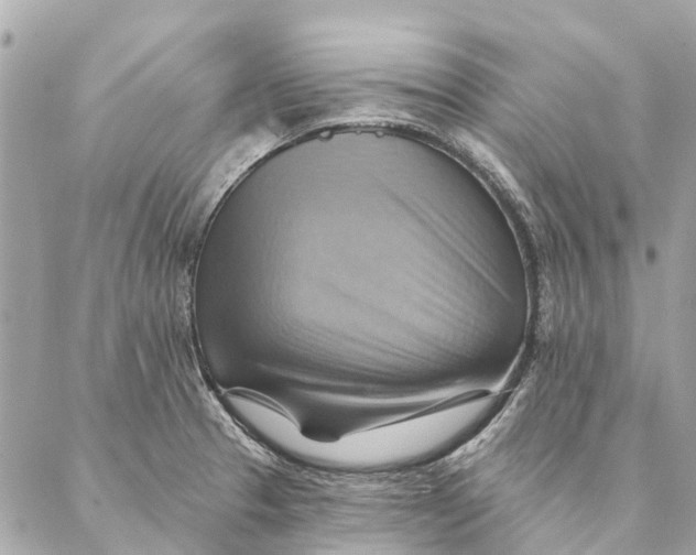 X0000087351329200705111610