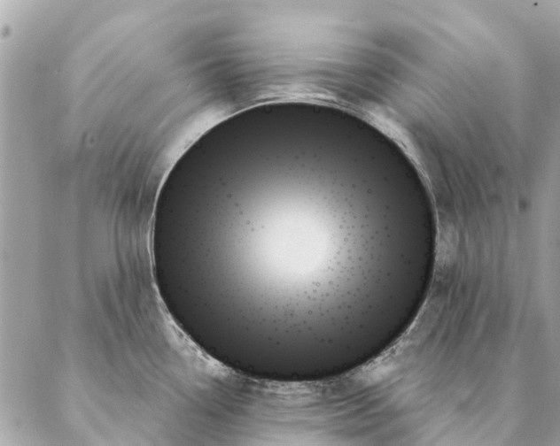 X0000087351338200705111610