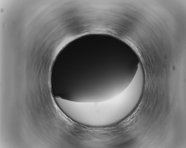 X0000087351342200705111610
