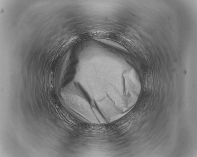 X0000087351346200705111609