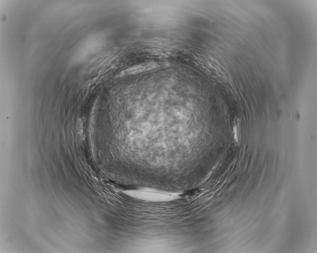 X0000087351347200705111609