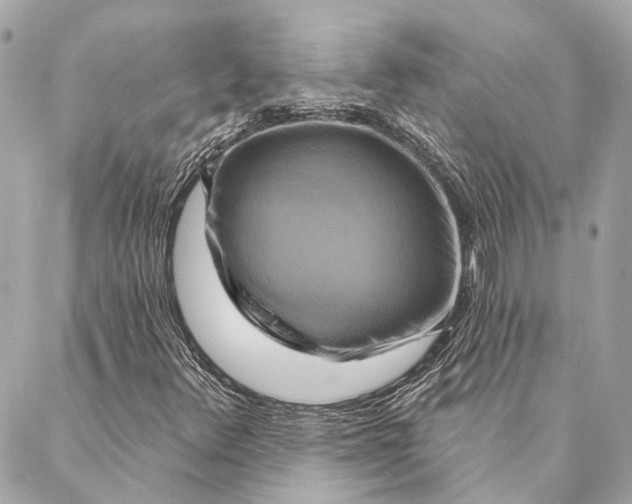 X0000087351348200705111609