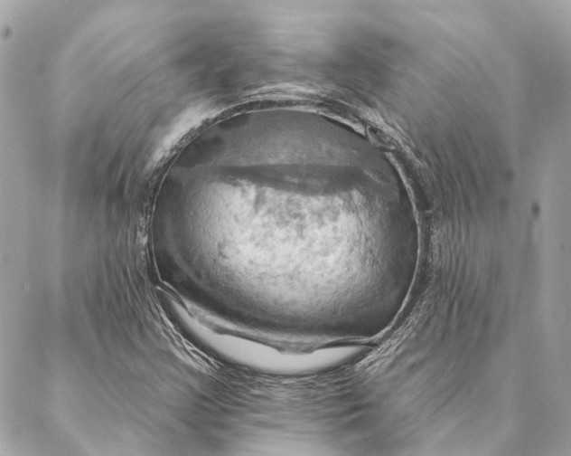 X0000087351355200705111609