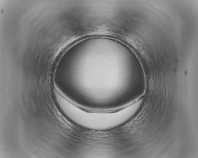 X0000087351356200705111609