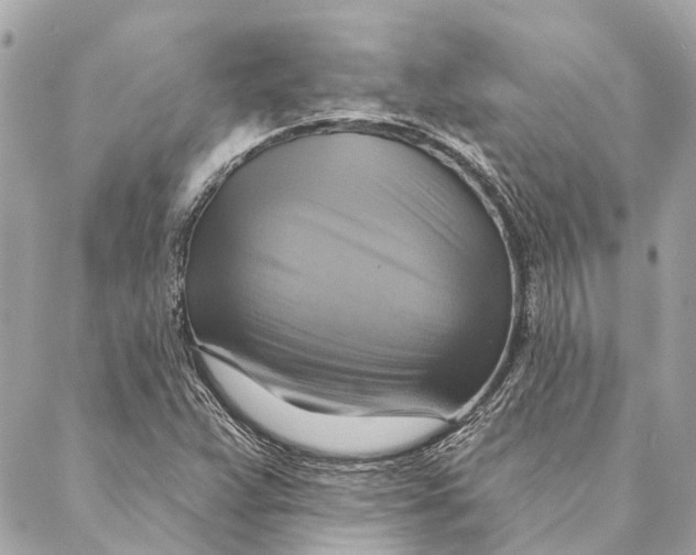 X0000087351359200705111609