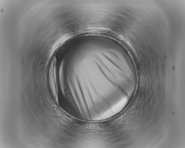 X0000087351362200705111609