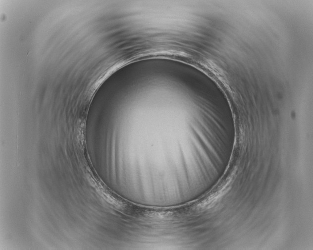 X0000087351369200705111609