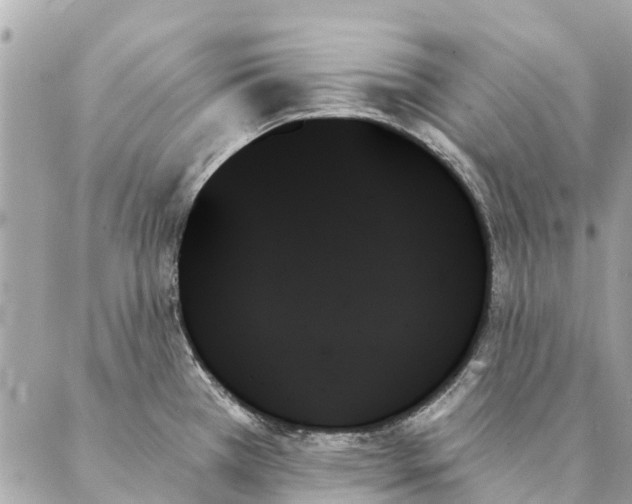 X0000087351385200705111609