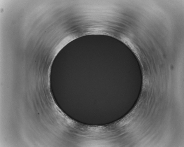 X0000087351386200705111609