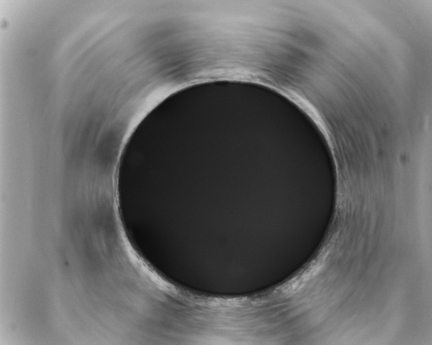 X0000087351389200705111609