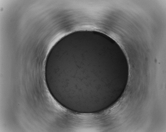 X0000087351392200705111609