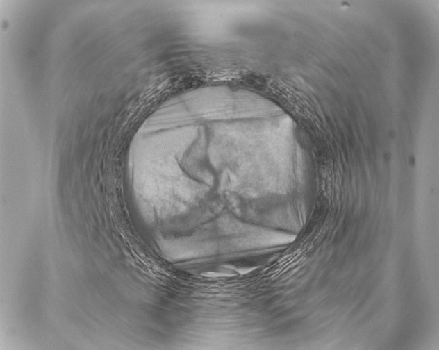 X0000087351393200705111608