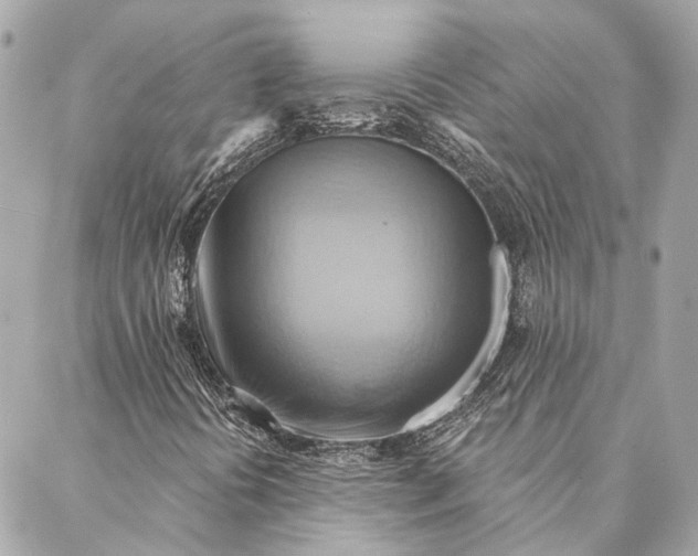 X0000087351394200705111608