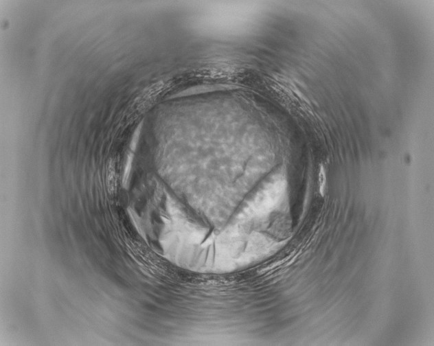 X0000087351395200705111608