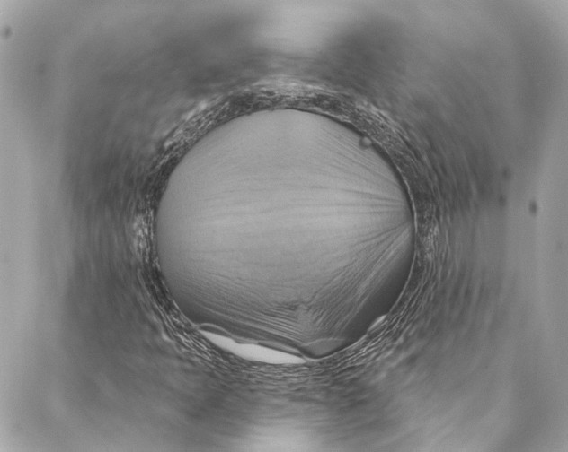 X0000087351397200705111608