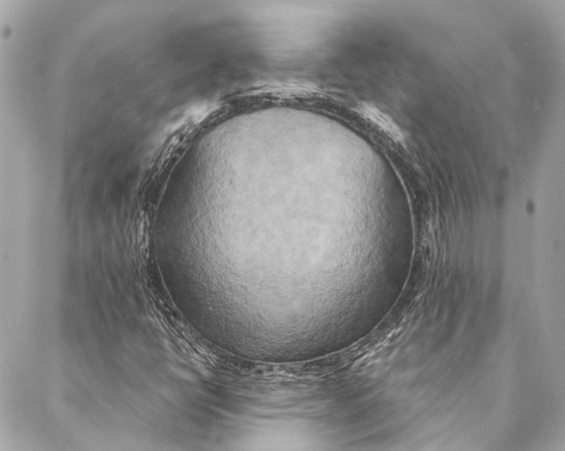 X0000087351398200705111608