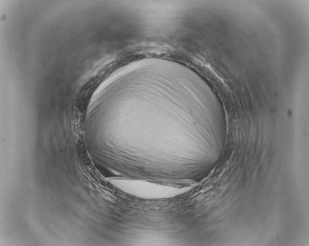 X0000087351399200705111608