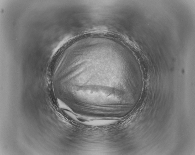 X0000087351400200705111608