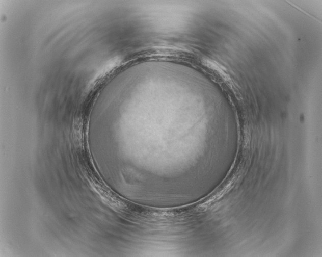 X0000087351403200705111608