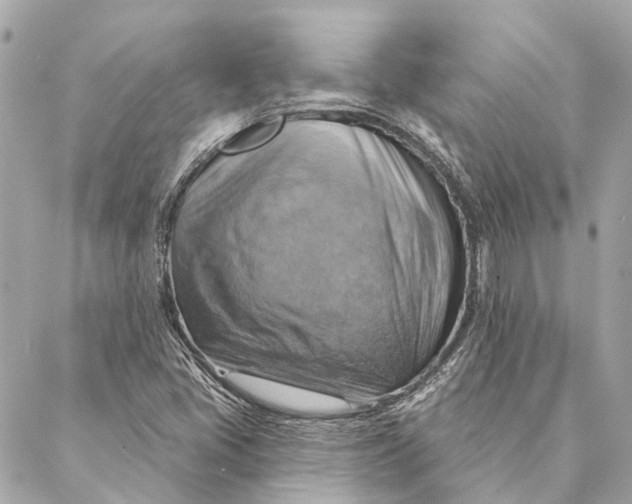 X0000087351405200705111608