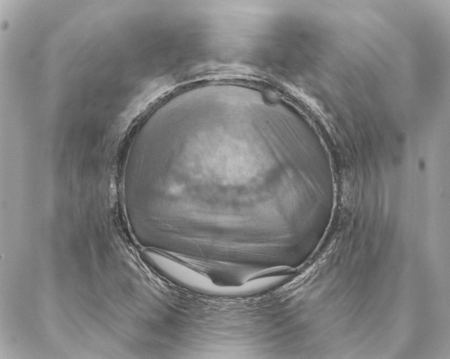 X0000087351407200705111608