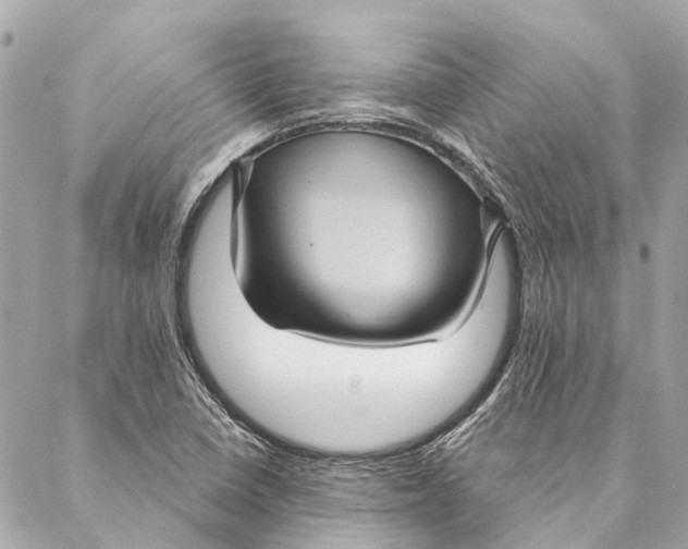 X0000087351410200705111608