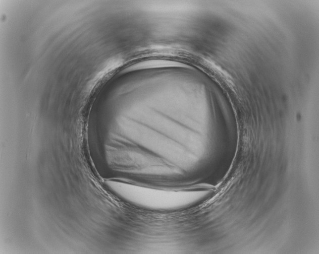 X0000087351411200705111608