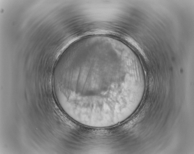 X0000087351417200705111608