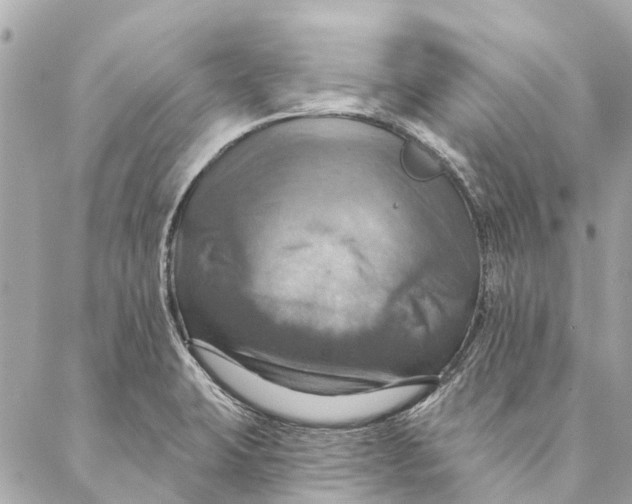 X0000087351423200705111608