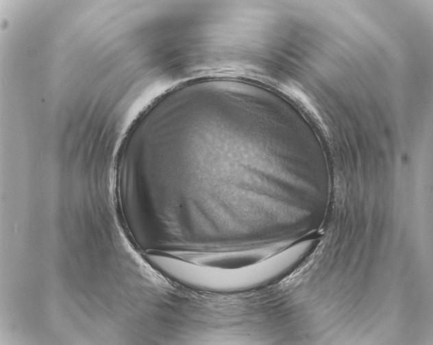 X0000087351424200705111608