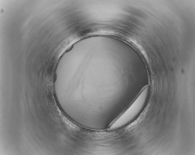 X0000087351425200705111608