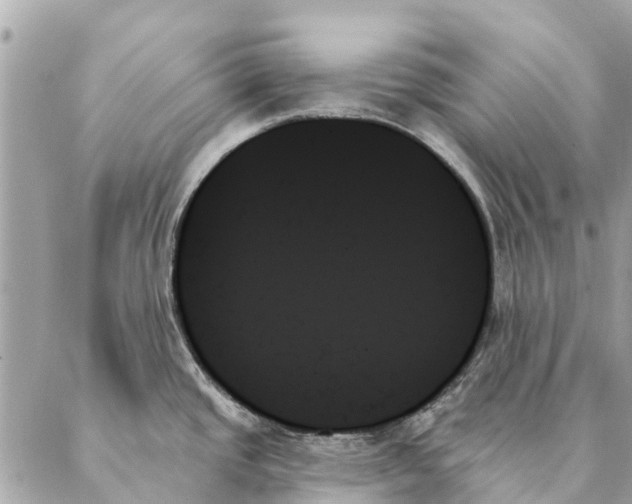 X0000087351437200705111609