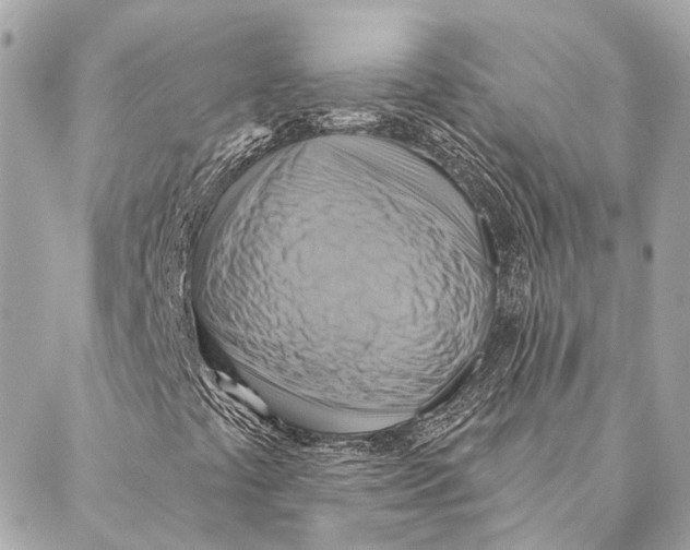 X0000087351441200705111608