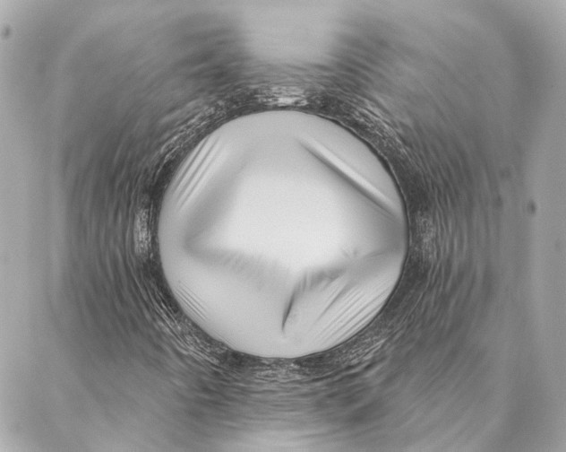 X0000087351442200705111608