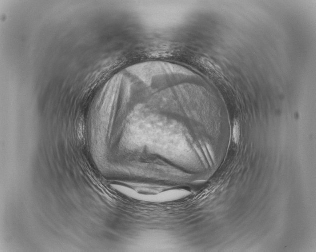 X0000087351444200705111608
