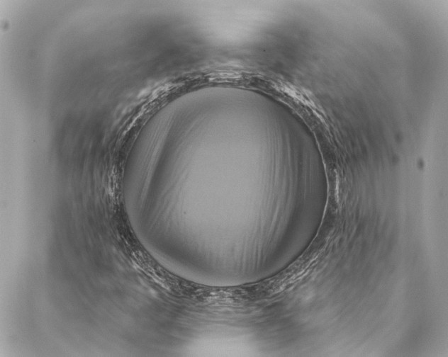 X0000087351445200705111608