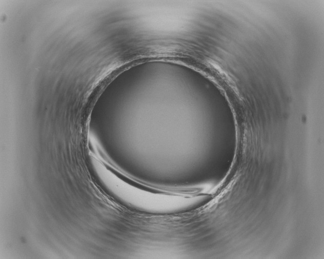 X0000087351449200705111608