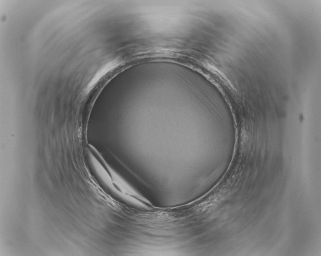 X0000087351450200705111608