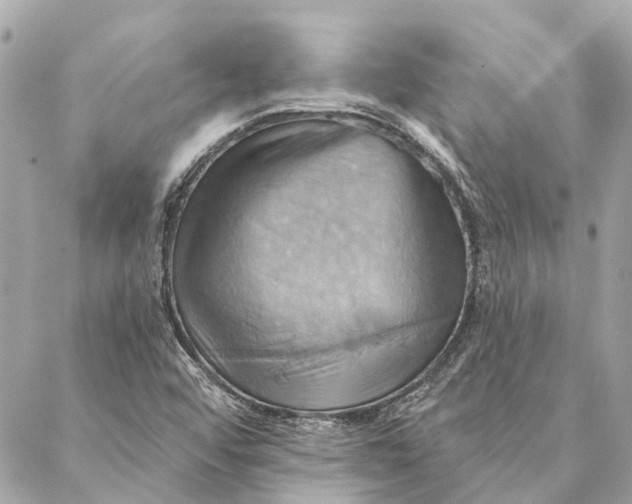 X0000087351456200705111608