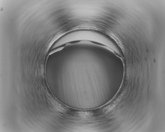 X0000087351465200705111608